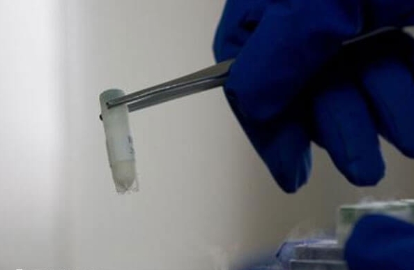 細(xì)胞解凍 細(xì)胞解凍